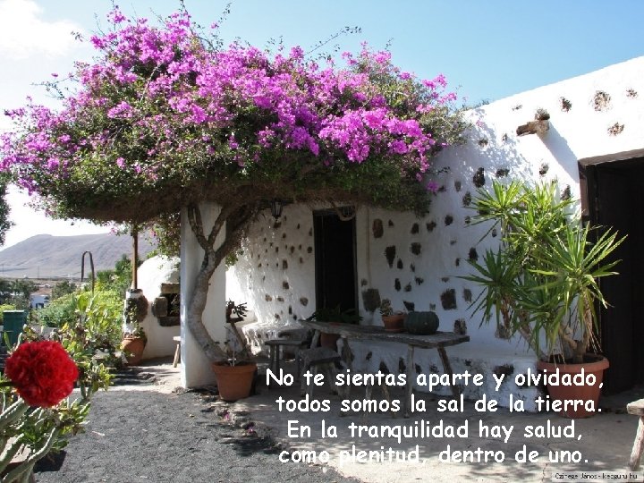 No te sientas aparte y olvidado, todos somos la sal de la tierra. En