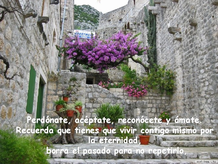 Perdónate, acéptate, reconócete y ámate. Recuerda que tienes que vivir contigo mismo por la