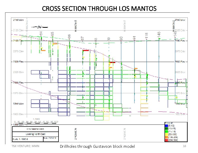 CROSS SECTION THROUGH LOS MANTOS TSX VENTURE: MMN Drillholes through Gustavson block model 16