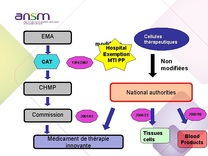 EMA modifiées CAT 1394/2007 Hospital Exemption MTI PP CHMP Commission Cellules thérapeutiques Non modifiées