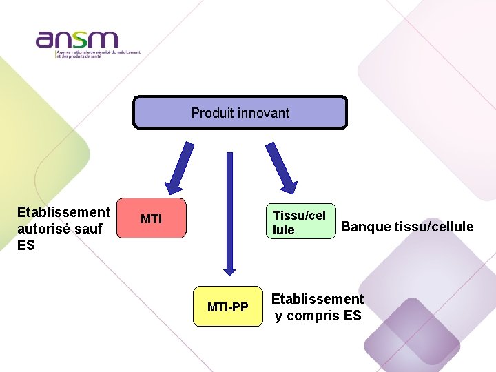 Produit innovant Etablissement autorisé sauf ES Tissu/cel lule MTI-PP Banque tissu/cellule Etablissement y compris