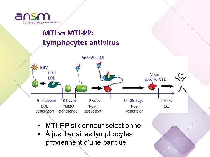 MTI vs MTI-PP: Lymphocytes antivirus • MTI-PP si donneur sélectionné • À justifier si