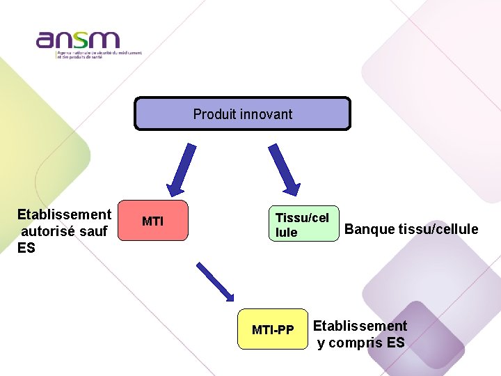 Produit innovant Etablissement autorisé sauf ES MTI Tissu/cel lule MTI-PP Banque tissu/cellule Etablissement y