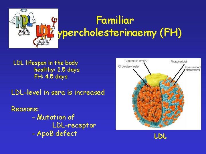 Familiar hypercholesterinaemy (FH) LDL lifespan in the body healthy: 2. 5 days FH: 4.