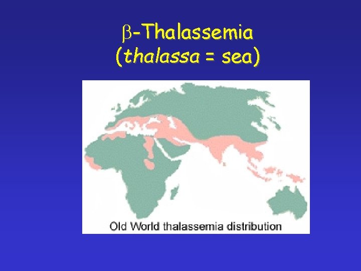 b-Thalassemia (thalassa = sea) 