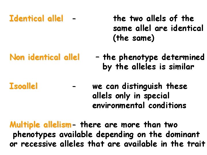 Identical allel - Non identical allel Isoallel - the two allels of the same