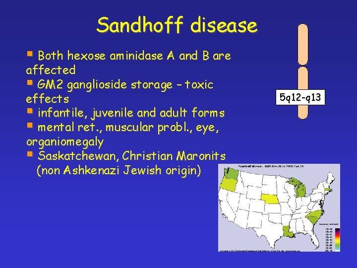 Sandhoff disease § Both hexose aminidase A and B are affected § GM 2