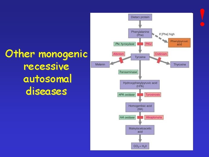 ! Other monogenic recessive autosomal diseases 