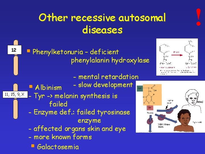 Other recessive autosomal diseases 12 § Phenylketonuria – deficient phenylalanin hydroxylase 11, 15, 9,