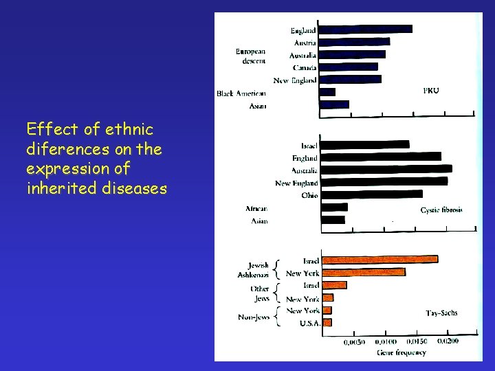 Effect of ethnic diferences on the expression of inherited diseases 