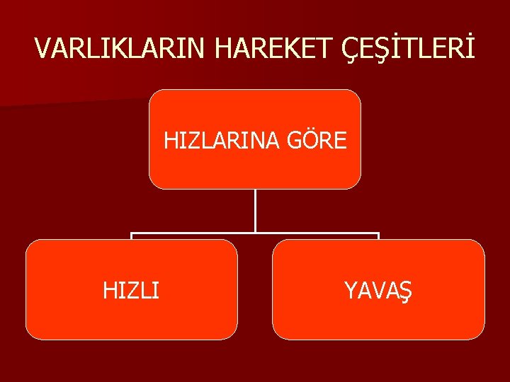 VARLIKLARIN HAREKET ÇEŞİTLERİ HIZLARINA GÖRE HIZLI YAVAŞ 