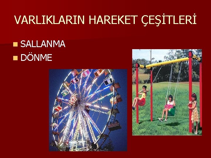 VARLIKLARIN HAREKET ÇEŞİTLERİ n SALLANMA n DÖNME 