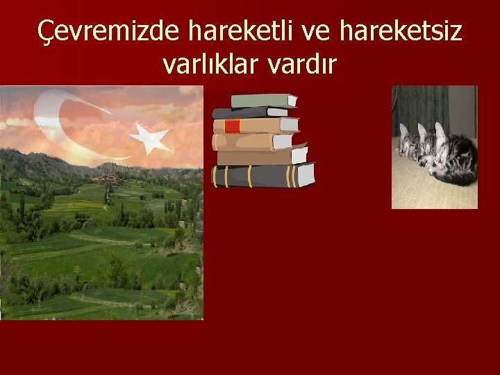 Çevremizde hareketli ve hareketsiz varlıklar vardır 