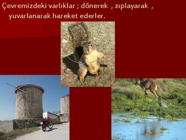 Çevremizdeki varlıklar ; dönerek , zıplayarak , yuvarlanarak hareket ederler. 