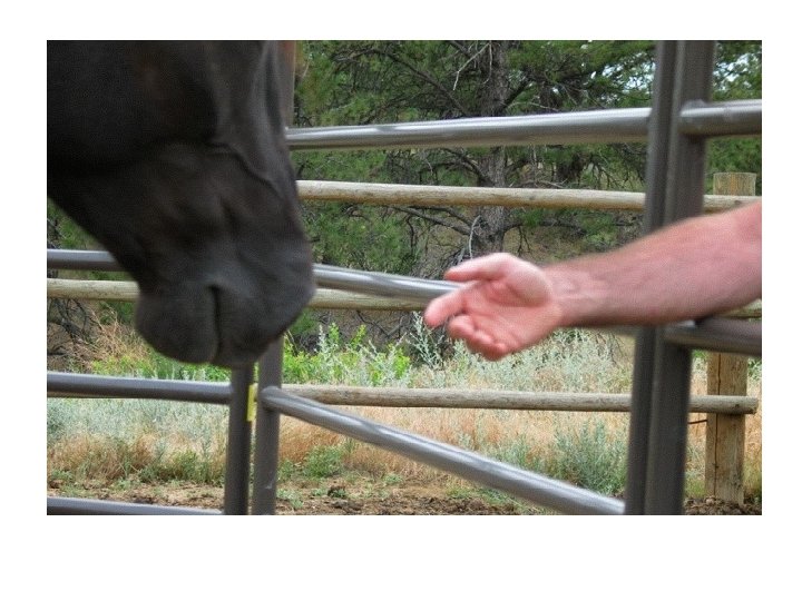 From Knowing to Doing to Being The challenge