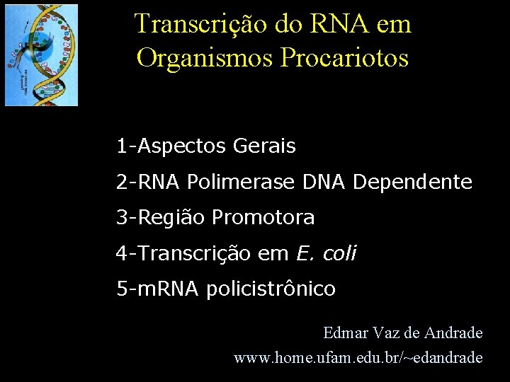 Transcrição do RNA em Organismos Procariotos 1 -Aspectos Gerais 2 -RNA Polimerase DNA Dependente