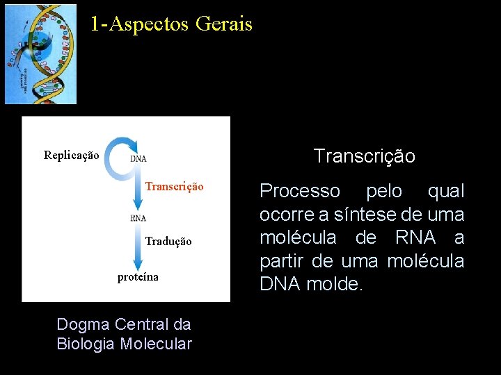 1 -Aspectos Gerais Transcrição Replicação Transcrição Tradução proteína Dogma Central da Biologia Molecular Processo