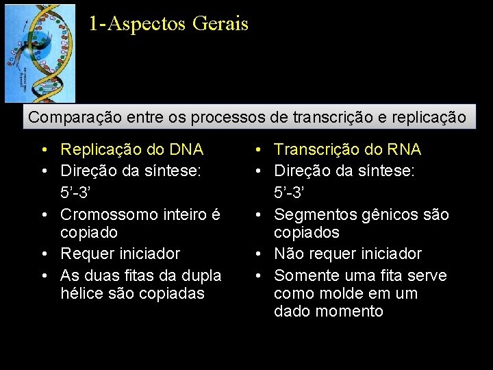 1 -Aspectos Gerais Comparação entre os processos de transcrição e replicação • Replicação do