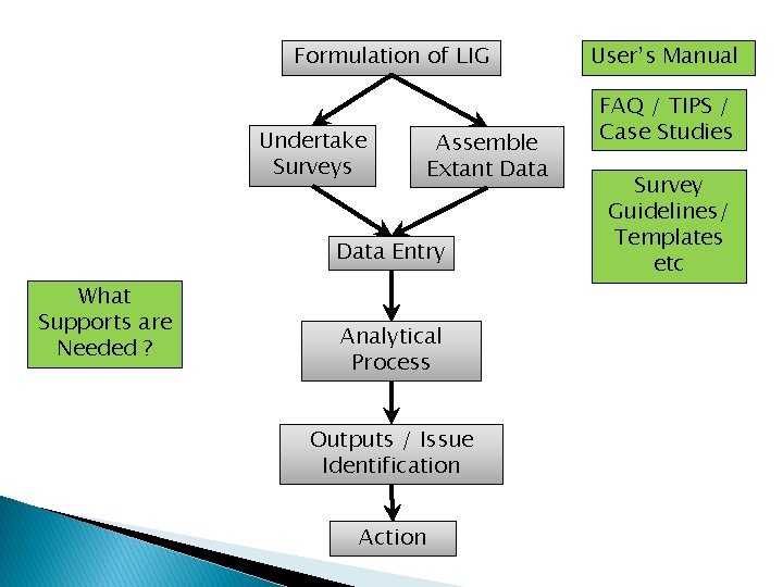 Formulation of LIG Undertake Surveys Assemble Extant Data Entry What Supports are Needed ?