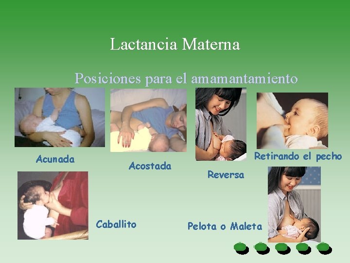 Lactancia Materna Posiciones para el amamantamiento Acunada Acostada Caballito Retirando el pecho Reversa Pelota