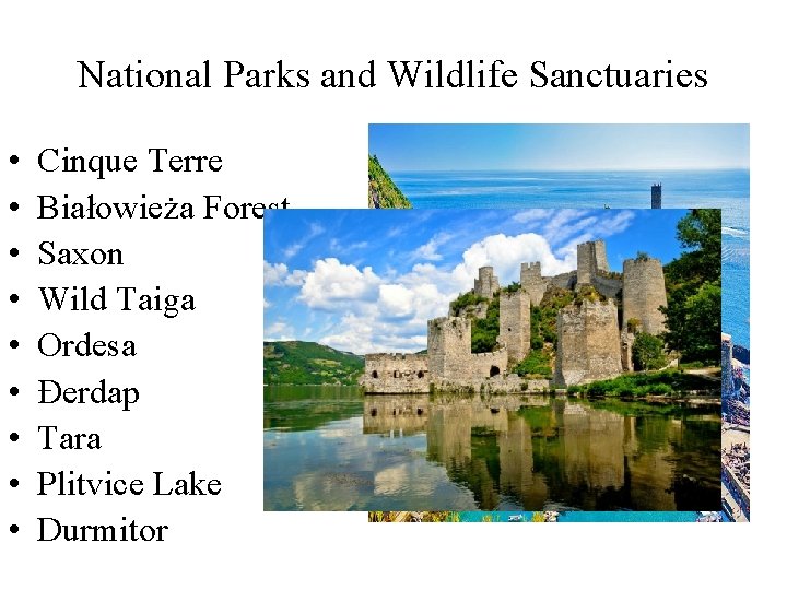 National Parks and Wildlife Sanctuaries • • • Cinque Terre Białowieża Forest Saxon Wild