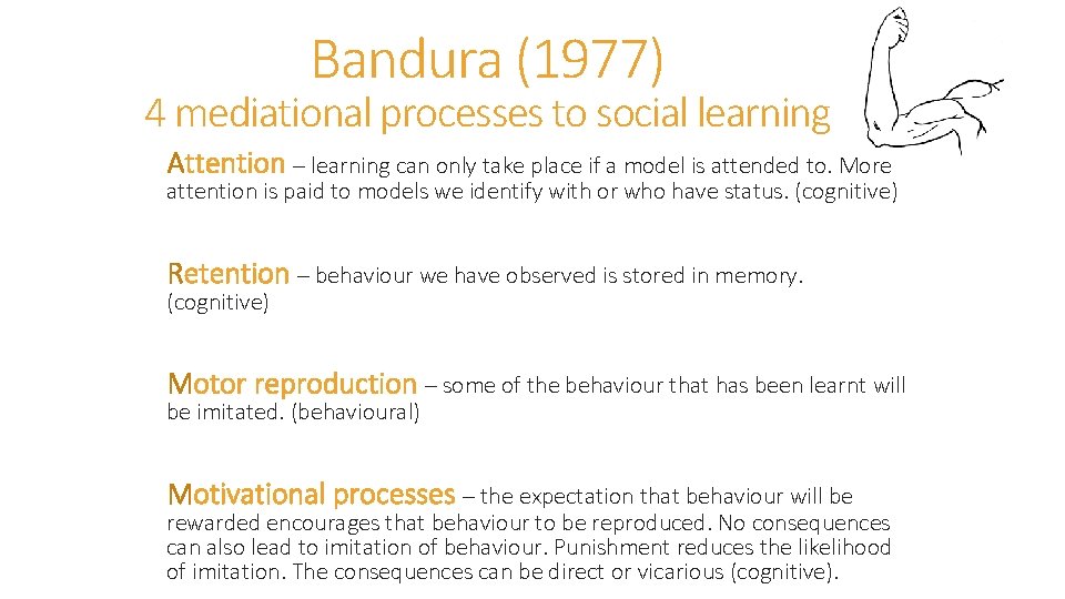 Bandura (1977) 4 mediational processes to social learning Attention – learning can only take