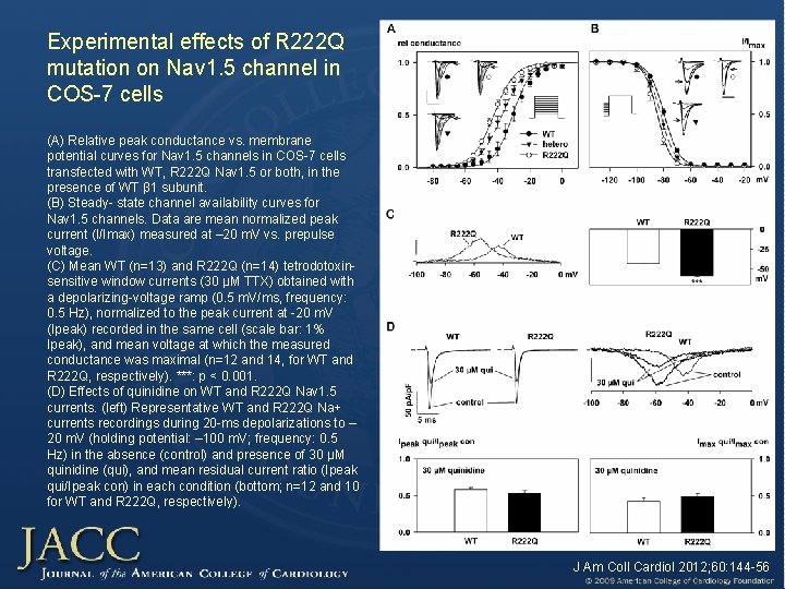 Experimental effects of R 222 Q mutation on Nav 1. 5 channel in COS-7