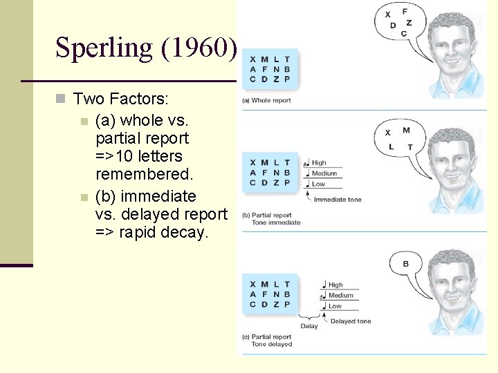 Sperling (1960) n Two Factors: n n (a) whole vs. partial report =>10 letters