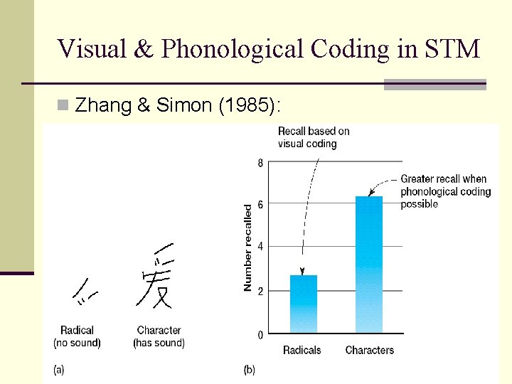 Visual & Phonological Coding in STM n Zhang & Simon (1985): 