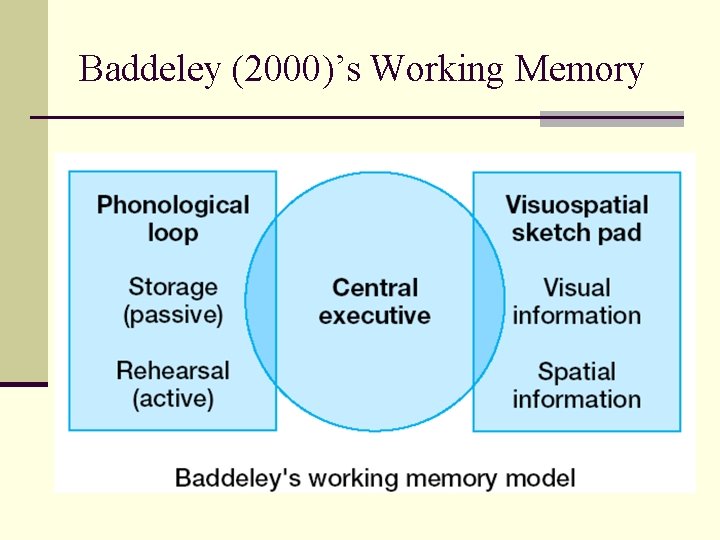 Baddeley (2000)’s Working Memory 