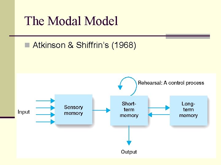 The Modal Model n Atkinson & Shiffrin’s (1968) 