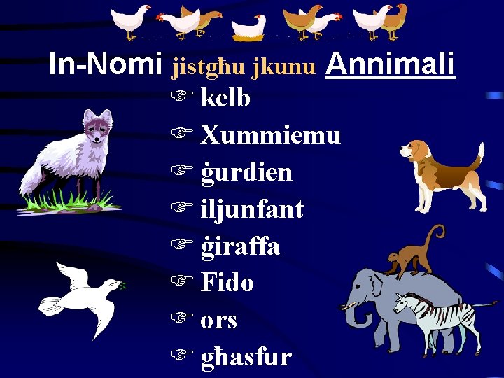 In-Nomi jistgħu jkunu Annimali F kelb F Xummiemu F ġurdien F iljunfant F ġiraffa