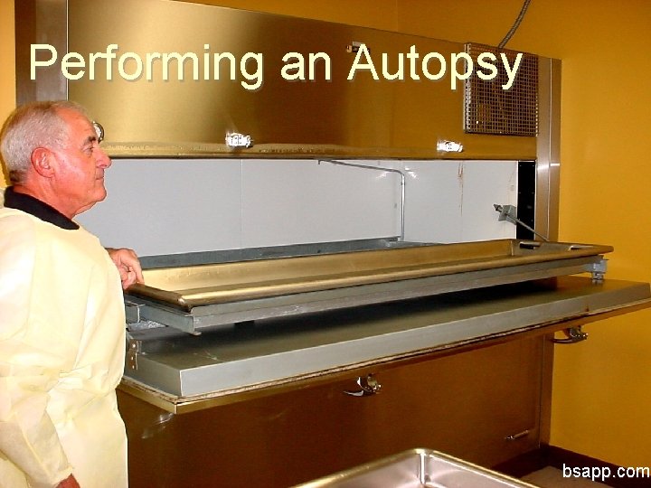 Performing an Autopsy bsapp. com 