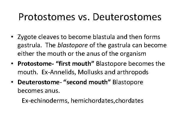 Protostomes vs. Deuterostomes • Zygote cleaves to become blastula and then forms gastrula. The