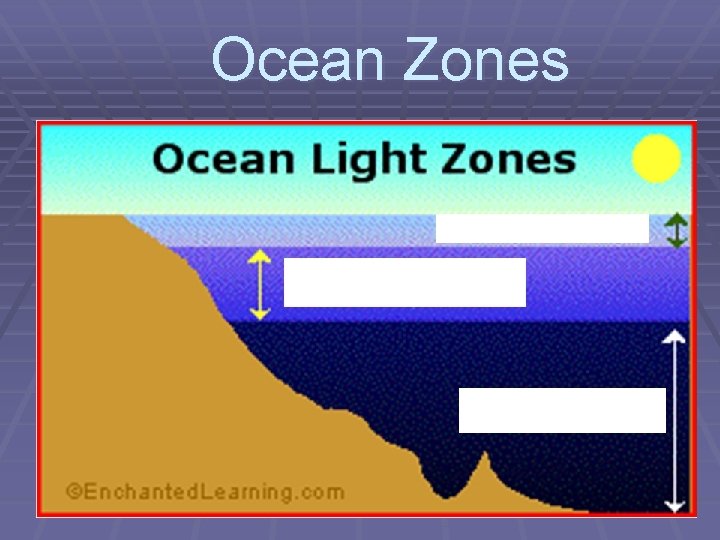 Ocean Zones 