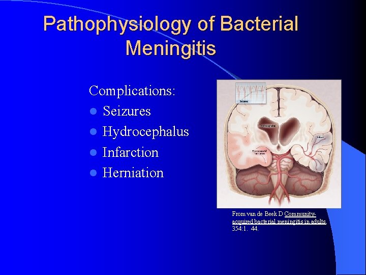 Pathophysiology of Bacterial Meningitis Complications: l Seizures l Hydrocephalus l Infarction l Herniation From