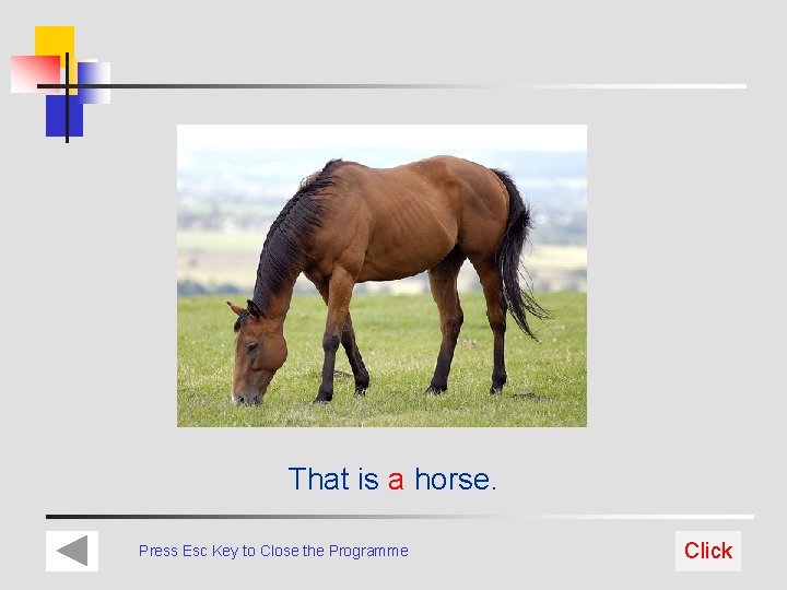 That is a horse. Press Esc Key to Close the Programme Click 