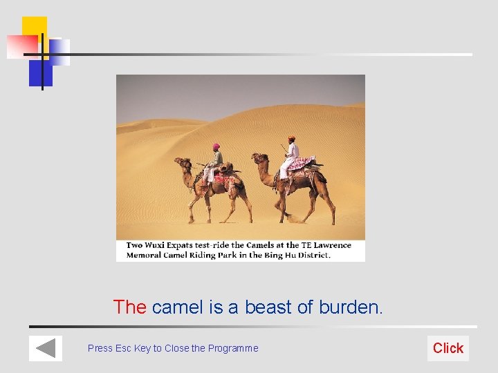 The camel is a beast of burden. Press Esc Key to Close the Programme