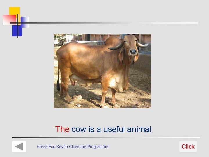 The cow is a useful animal. Press Esc Key to Close the Programme Click