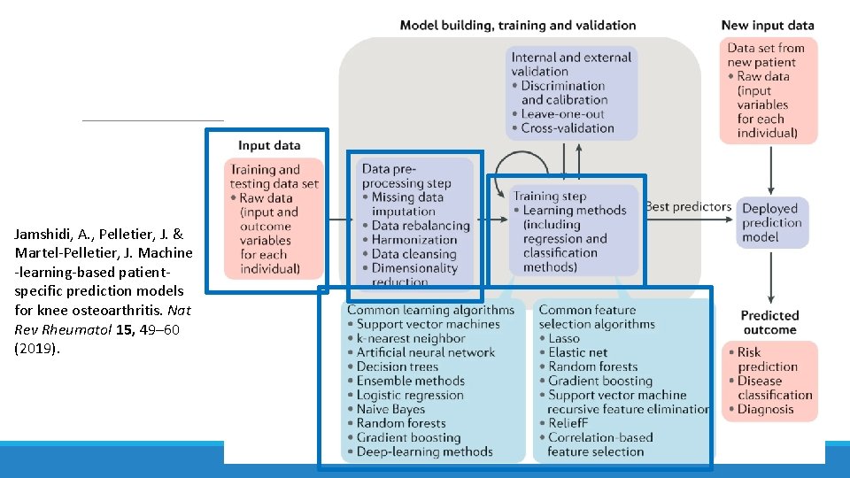 Jamshidi, A. , Pelletier, J. & Martel-Pelletier, J. Machine -learning-based patientspecific prediction models for