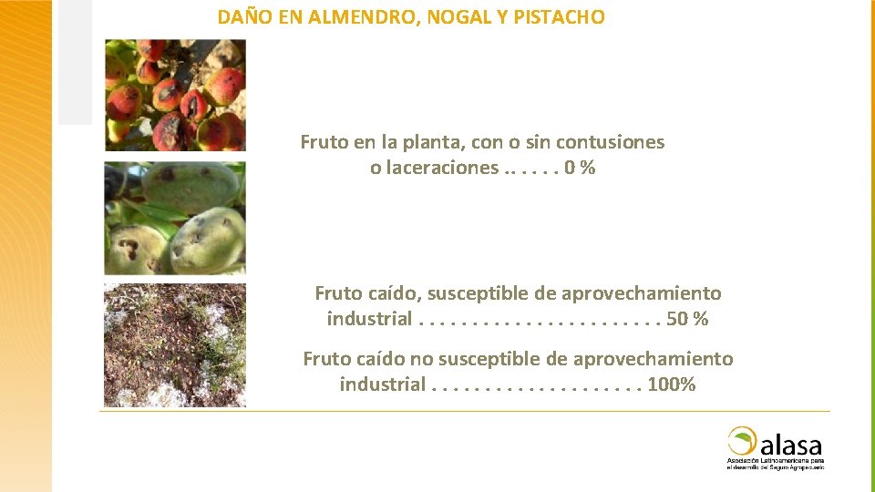 DAÑO EN ALMENDRO, NOGAL Y PISTACHO Fruto en la planta, con o sin contusiones