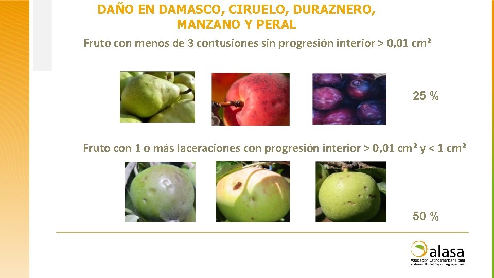 DAÑO EN DAMASCO, CIRUELO, DURAZNERO, MANZANO Y PERAL Fruto con menos de 3 contusiones