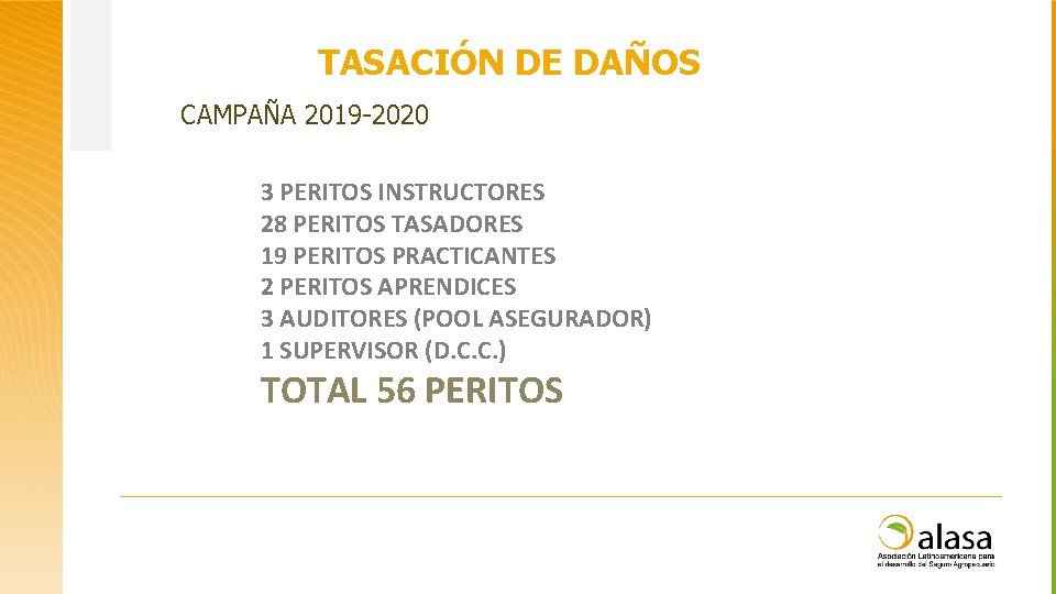 TASACIÓN DE DAÑOS CAMPAÑA 2019 -2020 3 PERITOS INSTRUCTORES 28 PERITOS TASADORES 19 PERITOS