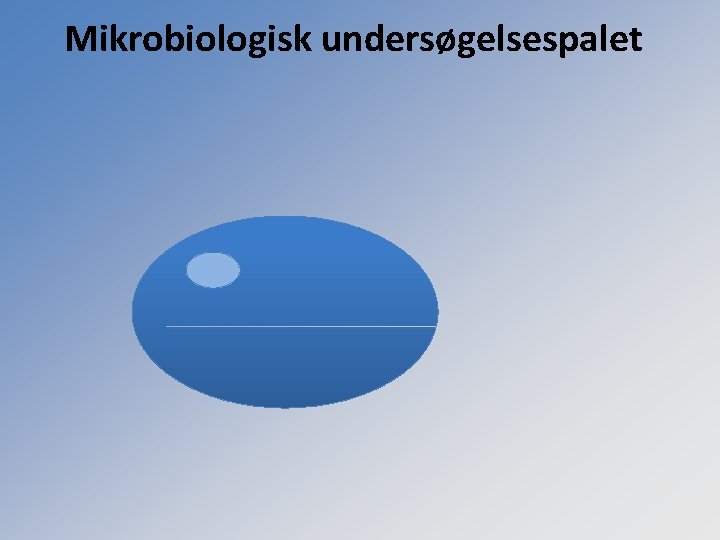 Mikrobiologisk undersøgelsespalet 