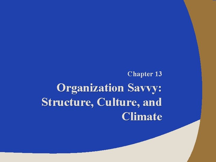 Chapter 13 Organization Savvy: Structure, Culture, and Climate 