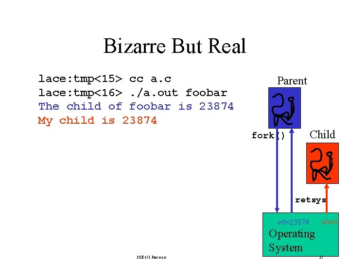 Bizarre But Real lace: tmp<15> cc a. c lace: tmp<16>. /a. out foobar The