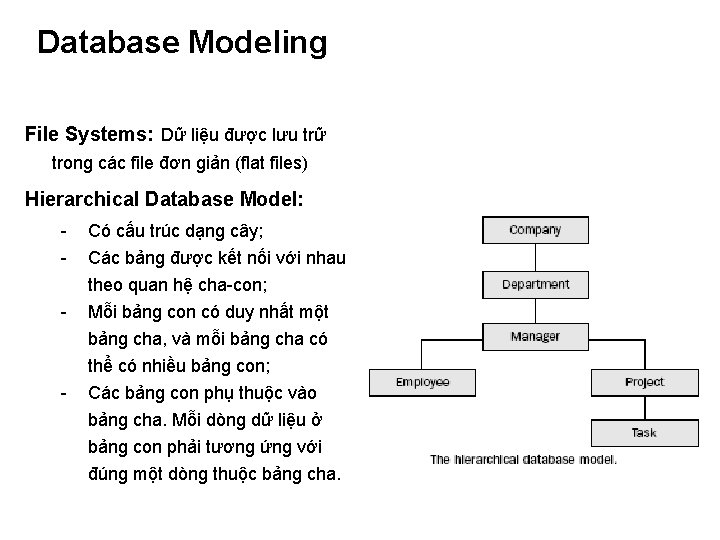 Database Modeling File Systems: Dữ liệu được lưu trữ trong các file đơn giản