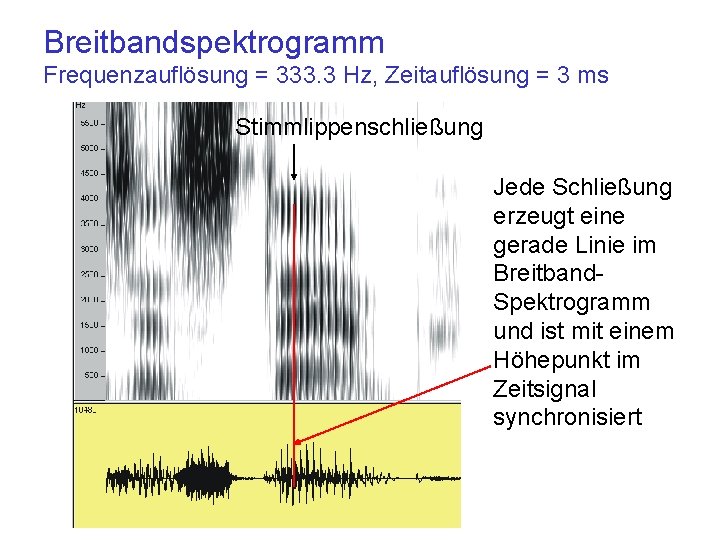 Breitbandspektrogramm Frequenzauflösung = 333. 3 Hz, Zeitauflösung = 3 ms Stimmlippenschließung Jede Schließung erzeugt