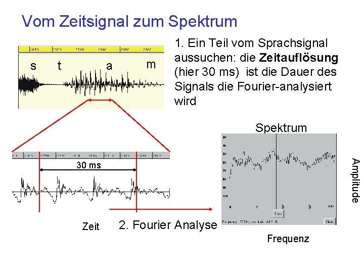 Vom Zeitsignal zum Spektrum s t a m 1. Ein Teil vom Sprachsignal aussuchen: