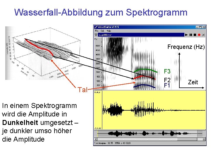 Wasserfall-Abbildung zum Spektrogramm Frequenz (Hz) Tal In einem Spektrogramm wird die Amplitude in Dunkelheit